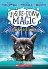 Sticks & Stones (Upside-Down Magic #2) by Sarah Mlynowski