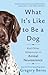 What It's Like to Be a Dog: And Other Adventures in Animal Neuroscience