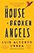 The House of Broken Angels