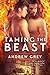 Taming the Beast (Tales from St. Giles #1) by Andrew Grey