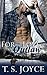 For The Love Of An Outlaw (Outlaw Shifters, #1)