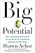 Big Potential: How Transforming the Pursuit of Success Raises Our Achievement, Happiness, and Well-Being