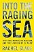 Into the Raging Sea: Thirty-Three Mariners, One Megastorm, and the Sinking of El Faro