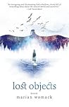 Book cover for Lost Objects