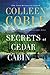 Secrets at Cedar Cabin (Lavender Tides #3)