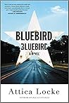 Bluebird, Bluebird (Highway 59, #1)