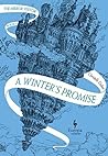 A Winter's Promise (The Mirror Visitor, #1)