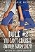 Rule #2: You Can't Crush on Your Sworn Enemy (The Rules of Love #2)