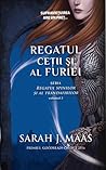 Regatul ceții și al furiei by Sarah J. Maas