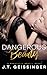 Dangerous Beauty (Dangerous Beauty, #1)