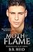 The Moth and the Flame (When Rivals Play, #2) by B.B. Reid