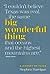 Big Wonderful Thing: A History of Texas (The Texas Bookshelf)