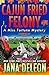 Cajun Fried Felony (Miss Fortune Mystery, #15) by Jana Deleon