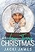 A Very Terry Christmas by Jacki James