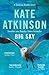 Big Sky (Jackson Brodie #5)