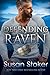 Defending Raven (Mountain Mercenaries,  #7)