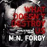 What Doesn't Destroy Us by M.N. Forgy