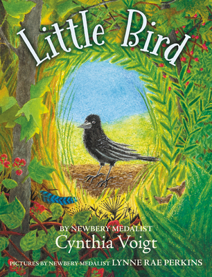 Little Bird by Cynthia Voigt