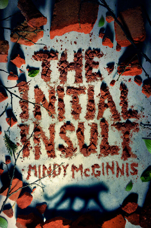 The Initial Insult by Mindy McGinnis