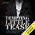 Tempting Little Tease (Forbidden Desires, #4)