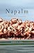 Napalm: An American Biography