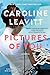 Pictures of You by Caroline Leavitt