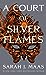 A Court of Silver Flames (A Court of Thorns and Roses, #4)