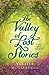 The Valley of Lost Stories