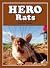 Hero Rats