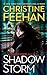 Shadow Storm (Shadow Riders, #6)