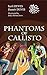 Phantoms of Callisto