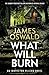 What Will Burn (Inspector McLean, #11)