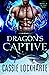 Dragon's Captive (Wardens of the Other Worlds, #1)