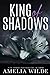 King of Shadows (King of Shadows, #1)