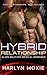 Hybrid Relationship (Space ...