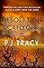 Desolation Canyon (Detective Margaret Nolan, #2)