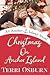 Christmas On Anchor Island (Anchor Island, #7) by Terri Osburn