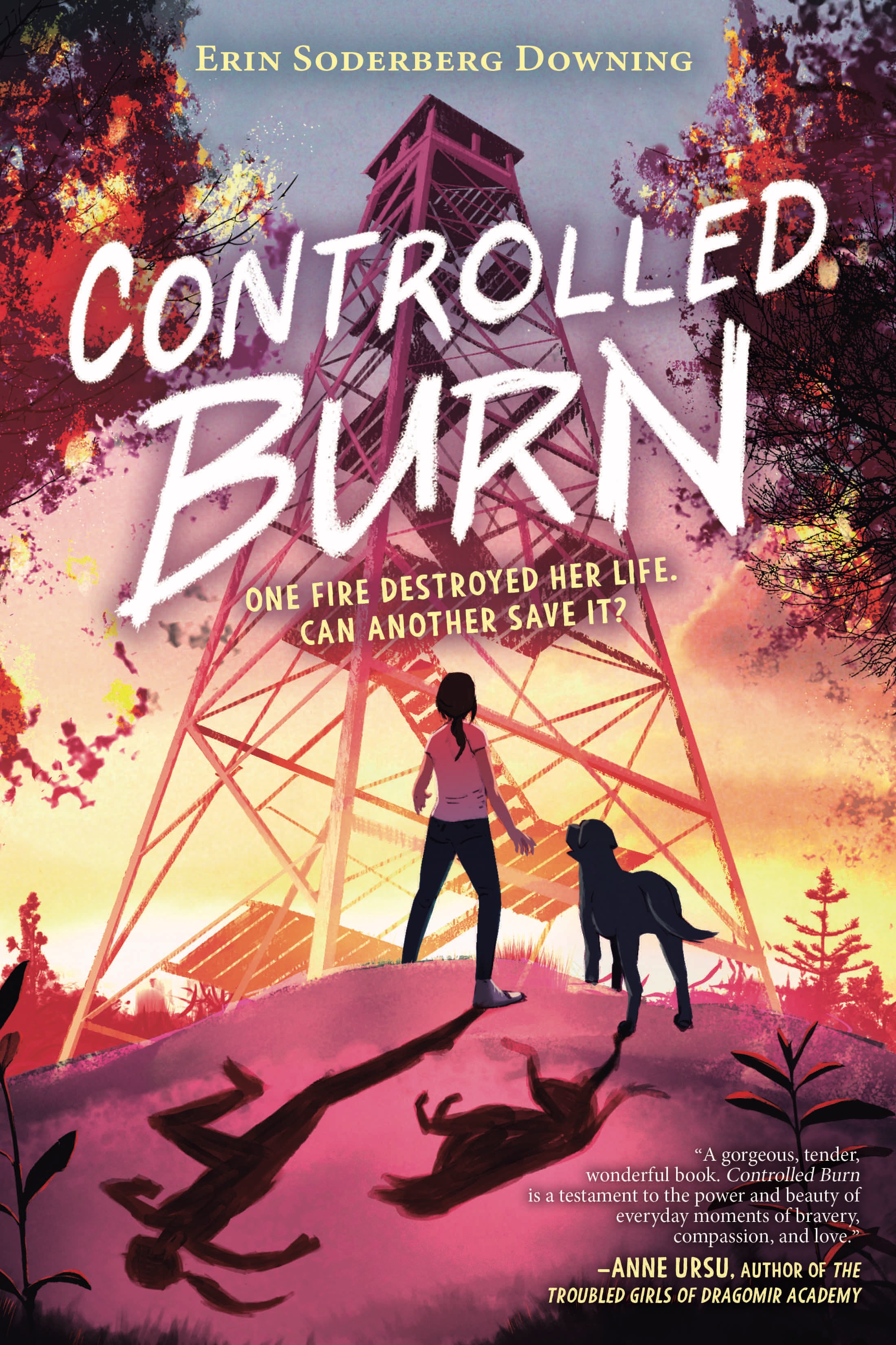 Controlled Burn by Erin Soderberg Downing