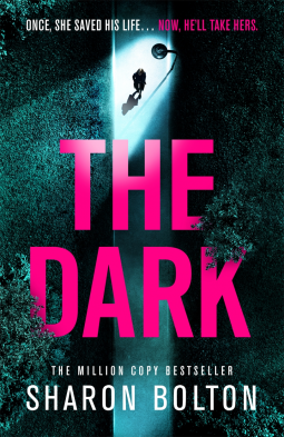 The Dark (Lacey Flint, #5)