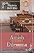 The Amish Teacher's Dilemma (North Country Amish, 2)