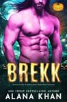 Brekk by Alana Khan