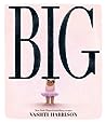 Big by Vashti Harrison