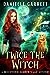 Twice the Witch (Beechwood Harbor Magic Mystery, #2)