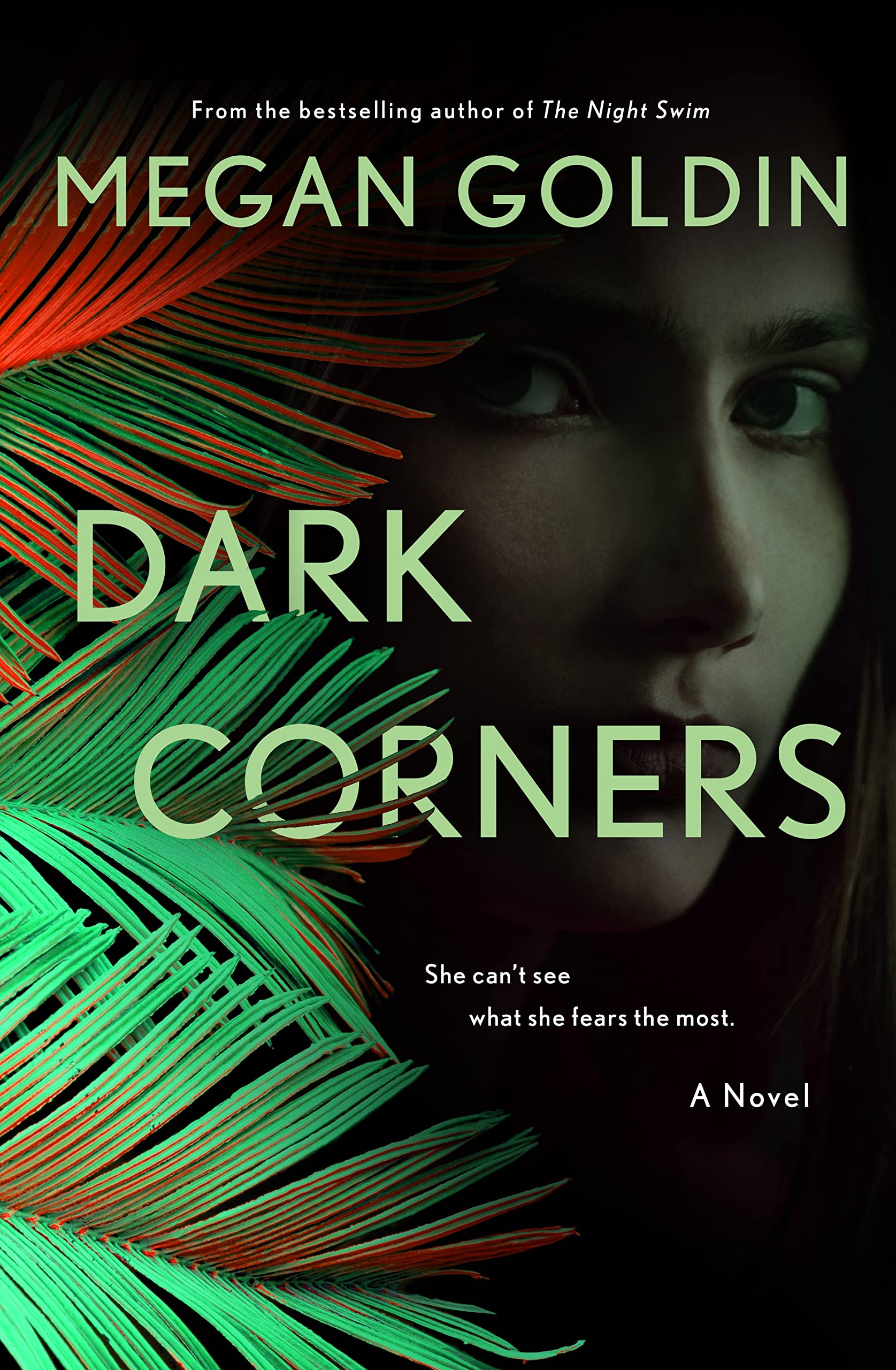 Dark Corners by Megan Goldin