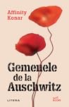 Gemenele de la Auschwitz by Affinity Konar