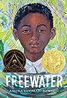 Freewater by Amina Luqman-Dawson