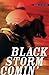 Black Storm Comin' by Diane Lee Wilson