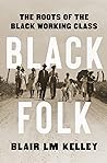 Black Folk by Blair  L.M. Kelley