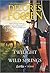 Twilight at Wild Springs (Last Ride, Texas #6) by Delores Fossen