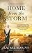 Home from the Storm (Johns Mill Amish Romance #4)